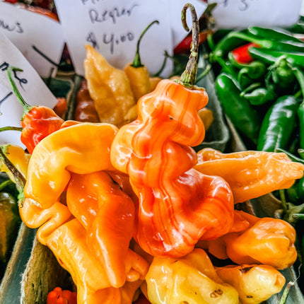 Collection image for: Fresh Pepper Pods