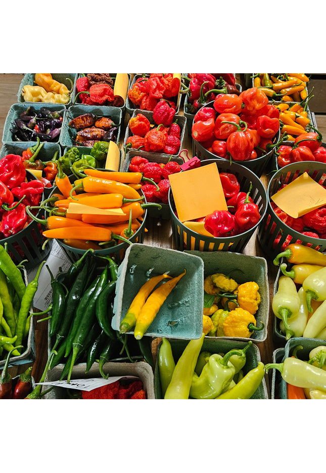 Fresh Pepper Pods by the pound