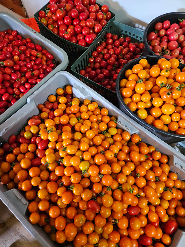 <h5>All Natural Produce</h5>